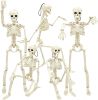 5 Packs Halloween Skeletons, 16" Halloween Full Body Skeleton with Posable Joints for Haunted House Graveyard Props Decor