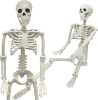 36" Skeleton Halloween Decorations, 3FT Realistic Full Body Movable Posable Joints Skeleton