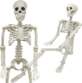 36" Skeleton Halloween Decorations, 3FT Realistic Full Body Movable Posable Joints Skeleton