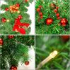 Christmas Garland,Christmas Garland with Lights,Xmas Decor