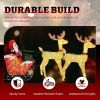 Lighted Reindeer Pulling Sleigh Christmas Decorations