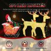 Lighted Reindeer Pulling Sleigh Christmas Decorations