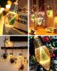 2Pcs Christmas Snow Globe String Lights Indoor Decorations 6.6 FT Battery Operated Powered String Lights for Christmas Tree Snow Scene in 20 Clear Bul