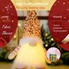 Christmas Set of 3 Light Up Christmas Gnomes, Silver, Pink & Red Christmas Gnomes - Plush Lighted Tomte Ornaments Figurines Dolls