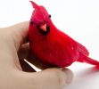 12 Pcs Artificial Red Cardinal Birds Clip, Christmas Cardinal Birds Clip, Fake Bird Red Cardinals Decor for Christmas Tree Ornament Decorations