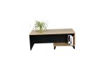 Simple Design Office Furniture Cabinet Small Size Filing Cabinet Wooden Tea Table