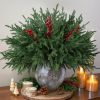 15 PCS Norfolk Pine Stems with Red Berries Branches,19 Inch Christmas Real Touch Artificial DIY Pine Needles