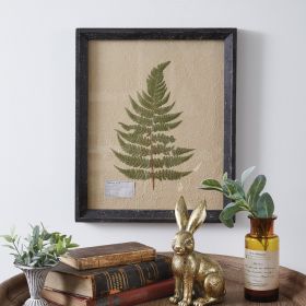 Pressed Botanical Wall Decor (Option: Lady Fern)