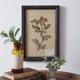 Pressed Botanical Wall Decor (Option: Japanese Rose)