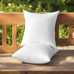 Throw Pillows (Option: W13724784)