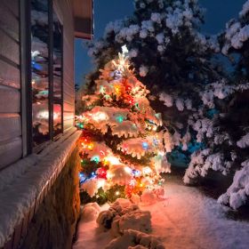 330FT Christmas String Lights 1000 LED, 8 Modes & 8 Brightness Levels with Remote & Timer, IP44 Waterproof Extra-Long Lights for Tree Patio Yard Decor (Color: Color)