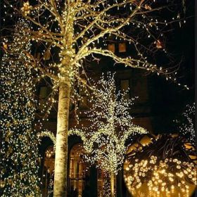 Firefly Solar mini LED Christmas lights on String (title: 100 LED Lights  36 Ft.)