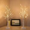 2-Pack 2FT Lighted Birch Tree with Timer for Christmas Decorations Indoor, Artificial Birch Tree with 48 LED Warm White Lights