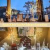 2-Pack 2FT Lighted Birch Tree with Timer for Christmas Decorations Indoor, Artificial Birch Tree with 48 LED Warm White Lights